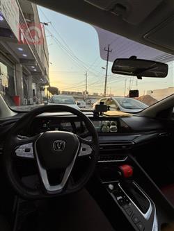 شانجان إيدو